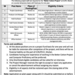 CCRI Job Jobs 2024 in Central Cotton Research Institute Multan Fresh Jobs 4U online apply Now