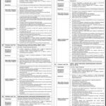 Cash Officer Jobs in National Bank of Pakistan Fresh Jobs 4U Online apply Now