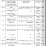 Join Pakistan Navy Civilian Authority PNCA Fresh Jobs 4U Online apply now