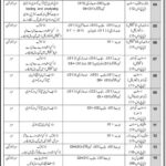 Join Pakistan Navy as Sailor New Jobs Latest Jobs online Apply Now