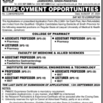 LUMHS Jobs 2024 in Liaquat University of Medical and Health Sciences Fresh Jobs 4U Online apply Now