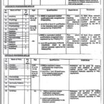 NMC Jobs 2024 in Narowal Medical College Narowal Fresh Jobs 4U apply Now