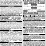 OCL Jobs in Olympia Chemical Fresh Jobs 4U Online apply Now