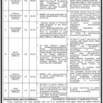 Primary & Secondary Healthcare Department, Government of the Punjab Fresh Jobs 4U Online apply Now