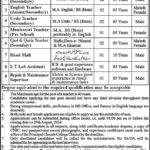 Teachers Jobs in Chenab College Chiniot Fresh Jobs 4U Online apply Now