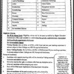 The Women University Multan Fresh Jobs 4U Online apply Now