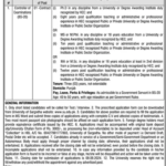 University of Sargodha Fresh Jobs 4U Online apply Now