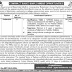 Balochistan Human Capital Investment Project BHCIP Jobs 2024 Latest New Jobs Open/Online Apply