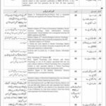 Directorate of Public Health Department AJK Jobs 2024 Latest