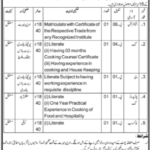 Directorate of Tourism Archaeology & Museum Department Jobs 2024 Latest