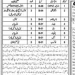 District Council Sibbi Jobs Career 2024 Online Apply