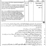 District Health Authority Faisalabad DHA Faisalabad Jobs Career 2024 Online Apply