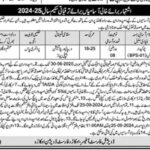 Forest Division Okara Job 2024 Latest