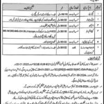 Irrigation Department Bahawalpur Jobs 2024 Latest Jobs New Vacancies Open