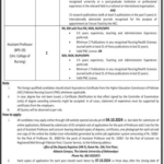 Islamia University of Bahawalpur IUB Jobs 2024 Apply Online