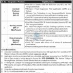 MTI Mardan Jobs 2024 Mti Mardan College of Nursing MCNM New Jobs Latest