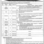 Mir Chakar Khan Rind University MCUT Jobs 2024 Latest New Jobs Open/Online Apply