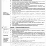 NBP Manager Jobs 2024 Apply Online