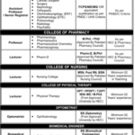 NMDC Jobs 2024 in Niazi Medical and Dental College Sargodha Job