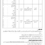 New Jobs Federal Government Department Jobs 2024 Latest