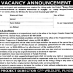 New Jobs in Wildlife Department Punjab New Jobs Latest