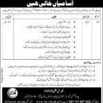 Public Sector Organization Jobs 2024 Latest