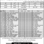 Punjab Education Foundation PEF Jobs 2024 for Government School Teachers