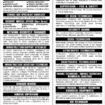 SIUT Jobs 2024 Latest Jobs New Vacancies Open/Online Apply