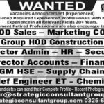 Strategic Consultant Group Jobs 2024 Apply Online