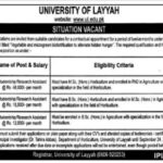 University of Layyah Jobs 2024 www.ul.edu.pk