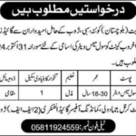 2 FF Zhob Cantt Jobs 2024