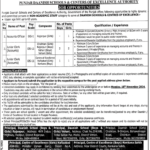 Accounts Officer Jobs 2024 in Punjab Daanish School & Center o Excellence Authority