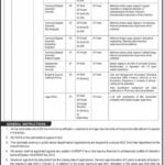 Assistant Director Jobs 2024 in Drug Regulatory Authority of Pakistan