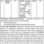 Cadet College Mastung New Jobs 2024