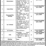 College of Agriculture Sargodha Jobs 2024 Latest