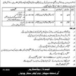 Government Special Education Centre Kasur Jobs 2024 Latest