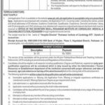 Hospital Director Jobs 2024 in Peshawar Institute of Cardiology MTI Peshawar