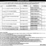 Latest Jobs Position Vacant in Punjab Health Department Jobs 2024 Latest