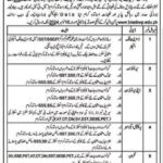 Latest Vacant Position At BISE Bahawalpur Jobs 2024