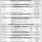 Latest Vacant Position At National Institute of Cardiovascular Diseases NICVD Jobs 2024