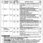 Latest Vacant Position At Punjab Center of Excellence (Boys) Schools Jobs 2024