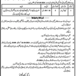 Punjab Irrigation Department Pakpattan Jobs 2024 Latest