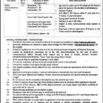 Punjab Safe Cities Authority PSCA Jobs 2024 Latest New Jobs Vacancies Open