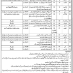 Punjab Social Welfare and Bait-ul-Maal Department Jobs 2024 Latest