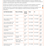 The Bank of Punjab BOP Jobs 2024 Latest