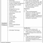 The University of Haripur Jobs 2024 Apply Online