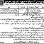 University Of Sargodha Jobs 2024 Latest