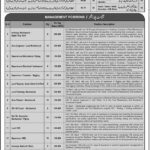 Latest Fresh Jobs in Descon Engineering Limited Pakistan UAE Job 2024