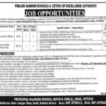 New Jobs in Punjab Daanish Schools & Centers of Excellence Authority