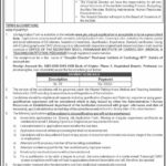 Peshawar Institute of Cardiology PIC Jobs 2024 Latest